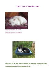 2012 : Les 12 vies des chats - Organic-E-Publishing-International