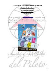 Download el_viento_como_espectador.pdf - El Alma del Piloto