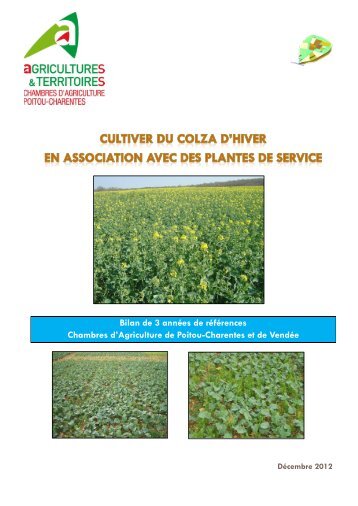 Cultive du colza d'hiver en association avec des plantes de service