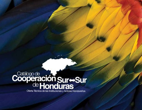 International Relations vector icon 21707478 Vector Art at Vecteezy, image size:500x386