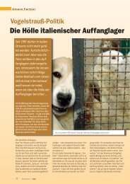Die HÃ¶lle italienischer Auffanglager - SOS animali international