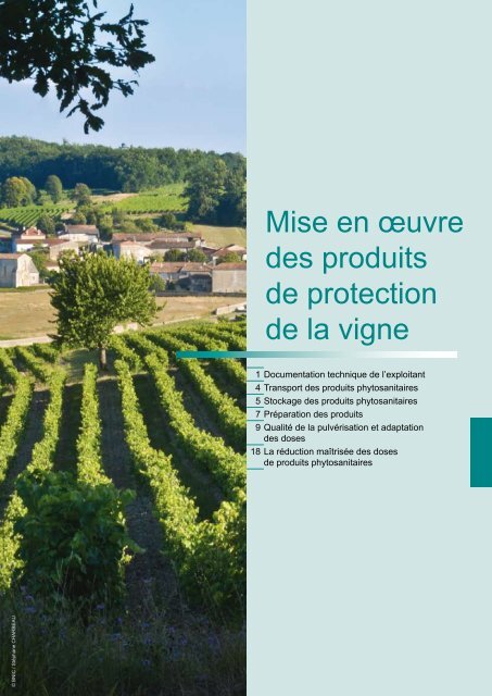 Mise en Åuvre des produits de protection de la vigne