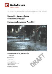 Brown Hill and Keswick Creek Stormwater Project Management ...