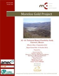 Morelos NI 43-101 Technical Report - Torex Gold Resources Inc.