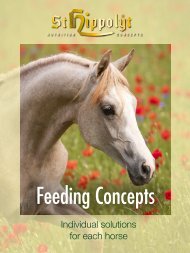 Feeding Concepts