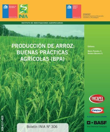 Manual-de-Arroz-PDF
