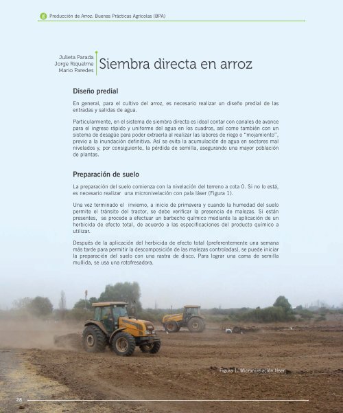 Manual-de-Arroz-PDF