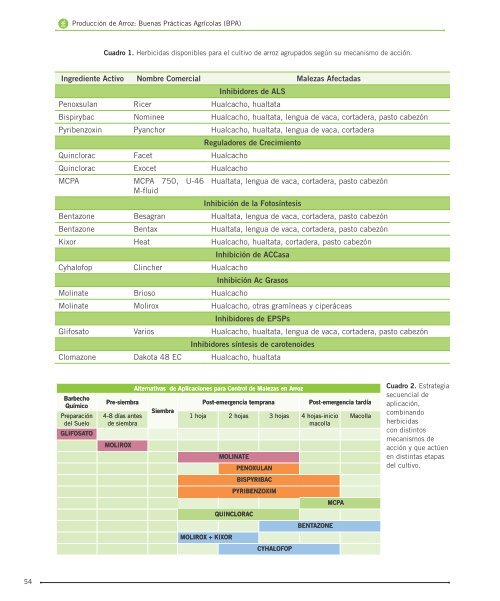 Manual-de-Arroz-PDF