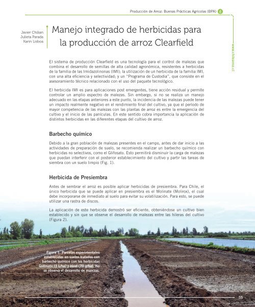 Manual-de-Arroz-PDF