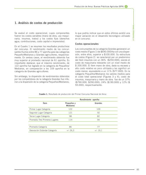 Manual-de-Arroz-PDF