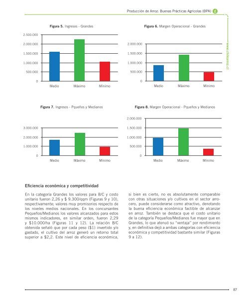 Manual-de-Arroz-PDF