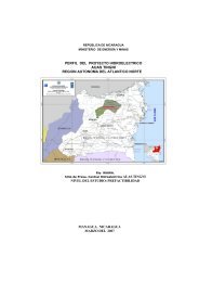 prefactibilidad perfil del proyecto hidroelectrico auas tingni ... - Mem