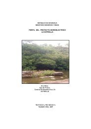 managua, nicaragua marzo del 2007 perfil del proyecto ... - Mem