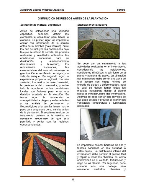 Manual de Buenas Practicas Agricolas