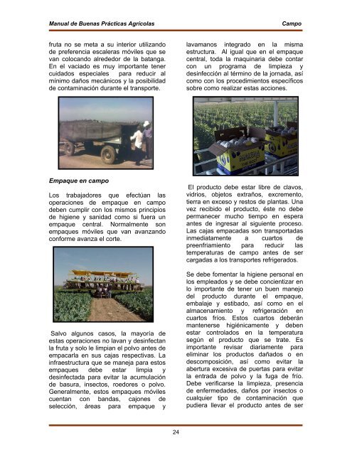 Manual de Buenas Practicas Agricolas