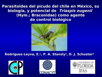 Parasitoides del picudo del chile en México, su biología, y potencial ...