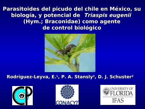 Parasitoides del picudo del chile en México, su biología, y potencial ...
