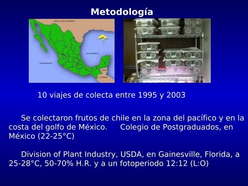 Parasitoides del picudo del chile en México, su biología, y potencial ...