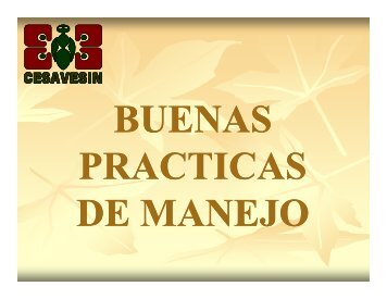Buenas Practicas de Manejo en Sinaloa