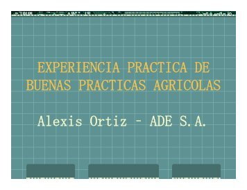 EXPERIENCIA PRACTICA DE BUENAS PRACTICAS AGRICOLAS ...