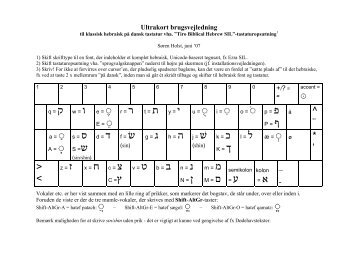 Brugsvejledning til hebraisk - Søren Holst