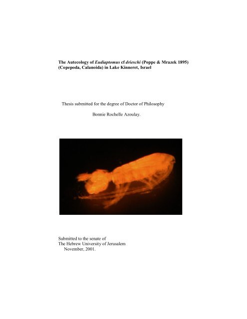 The Autecology of Eudiaptomus cf drieschi (Poppe & Mrazek 1895 ...