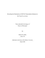 Revealing the Mechanism of HSP104 Transcription Initiation in the ...