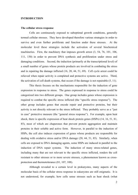 Revealing the Mechanism of HSP104 Transcription Initiation in the ...