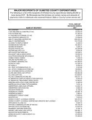 2007 Final Summary - Olmsted County