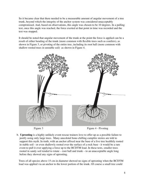 How To Determine Tree Strength and Build Tree Anchors