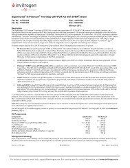 superscript iii platinum invitrogen