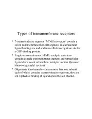 Types of transmembrane receptors