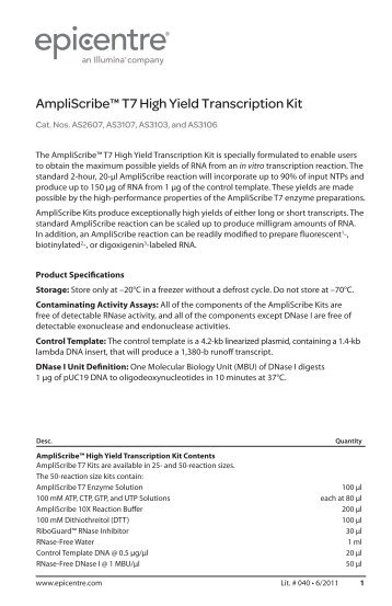 Protocol for AmpliScribeâ¢ T7 High Yield Transcription Kit