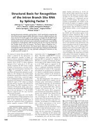 Structural Basis for Recognition of the Intron Branch Site RNA by ...