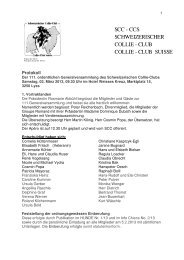 Deutsch - Schweizer Collie Club