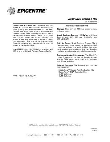 Protocol for Uracil-DNA Excision Mix