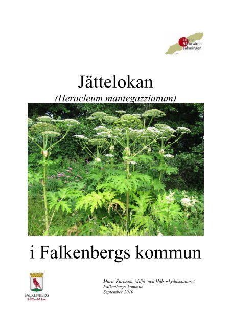 JÃ¤ttelokan i Falkenberg - Falkenbergs kommun