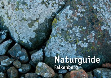 Naturguide Fbg. SV Utskrift.indd - Falkenbergs kommun