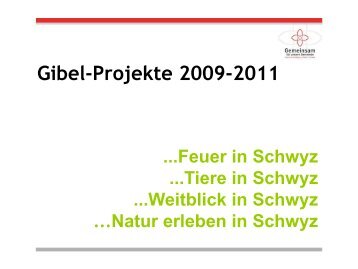 Gibel-Projekte 2009-2011 - Gemeinsam fÃ¼r unsere Gemeinde