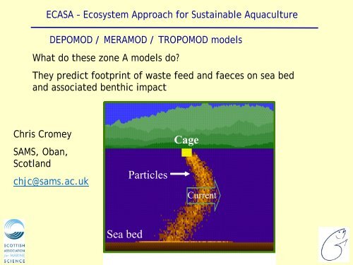 Depomod, Meramod, and Tropomod Models - ecasa