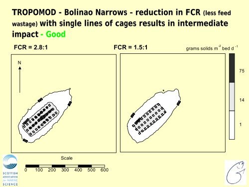 Depomod, Meramod, and Tropomod Models - ecasa