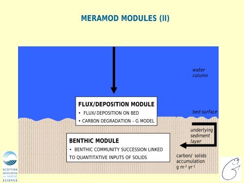 Depomod, Meramod, and Tropomod Models - ecasa