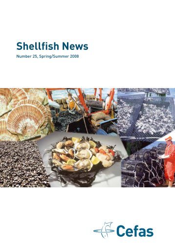 Shellfish News Spring/Summer 2008 - ecasa