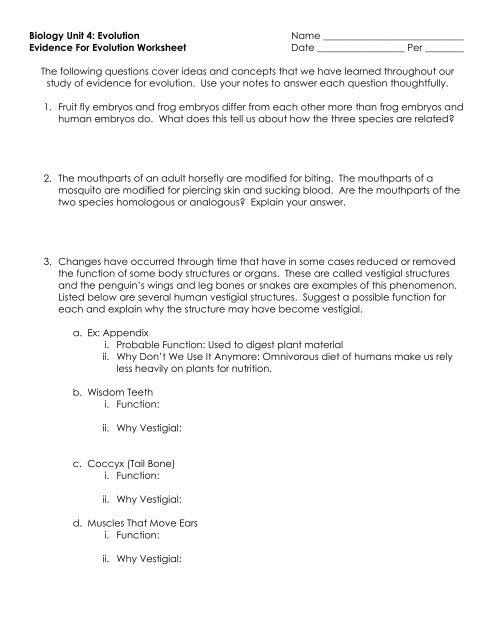 Human Evolution Worksheet High School Human Evolution: How Are We