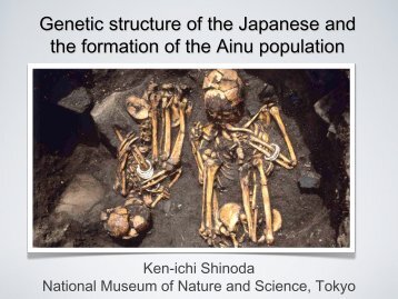 Genetic structure of the Japanese and the formation of the Ainu ...