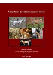 Caudotomie de certaines races de chiens