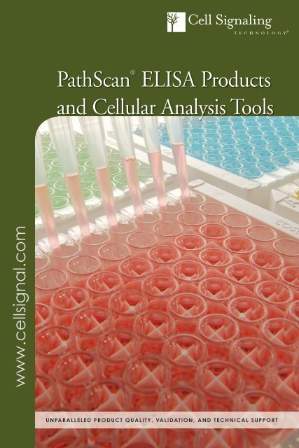 PathScanÂ® ELISA Products and Cellular Analysis Tools - Lab-JOT
