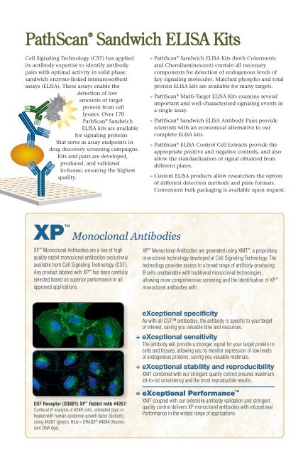 PathScanÂ® ELISA Products and Cellular Analysis Tools - Lab-JOT