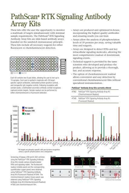 PathScanÂ® ELISA Products and Cellular Analysis Tools - Lab-JOT