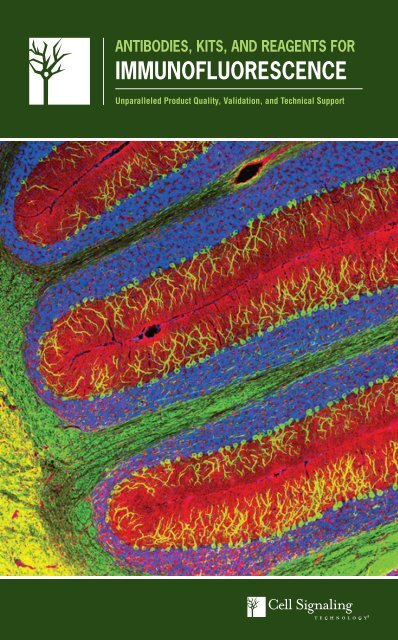 IMMUNOFLUORESCENCE - Lab-JOT